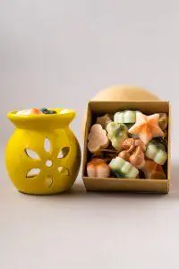 combo wax melts fresh