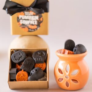 combo wax burner and pumpkin souffle wax melts