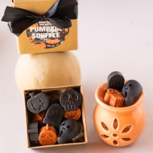 combo wax burner and pumpkin souffle wax melts